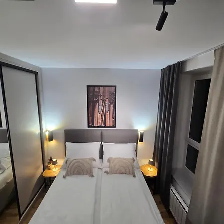 Privatni Rio Deluxe A1-8 U Sklopu Vucko Aparthotel